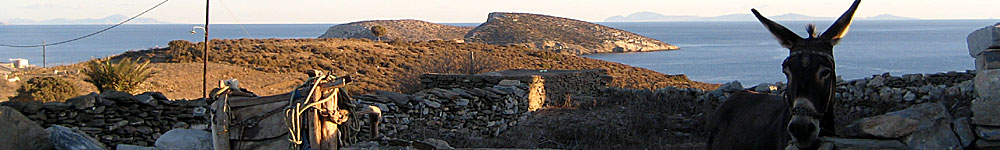 Schinoussa. Greece.