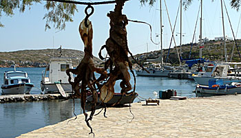 The port of Arki.