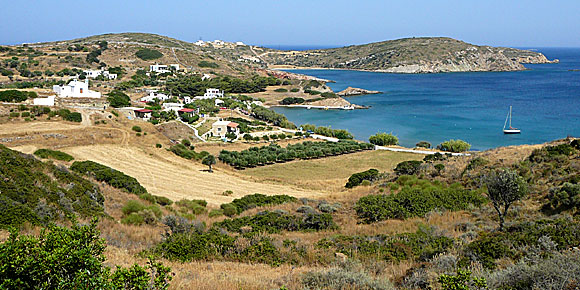 Katsadia