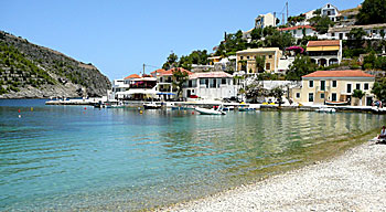 Assos