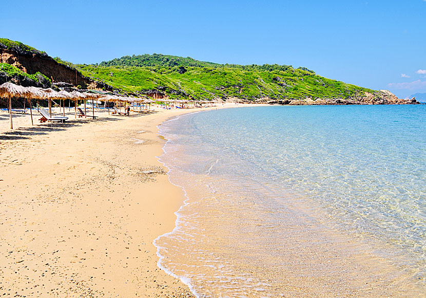 Skiathos has more fine sandy beaches than any other island in Greece, of which Mandraki beach is a good example.