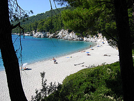 Kastani beach on Skopelos.