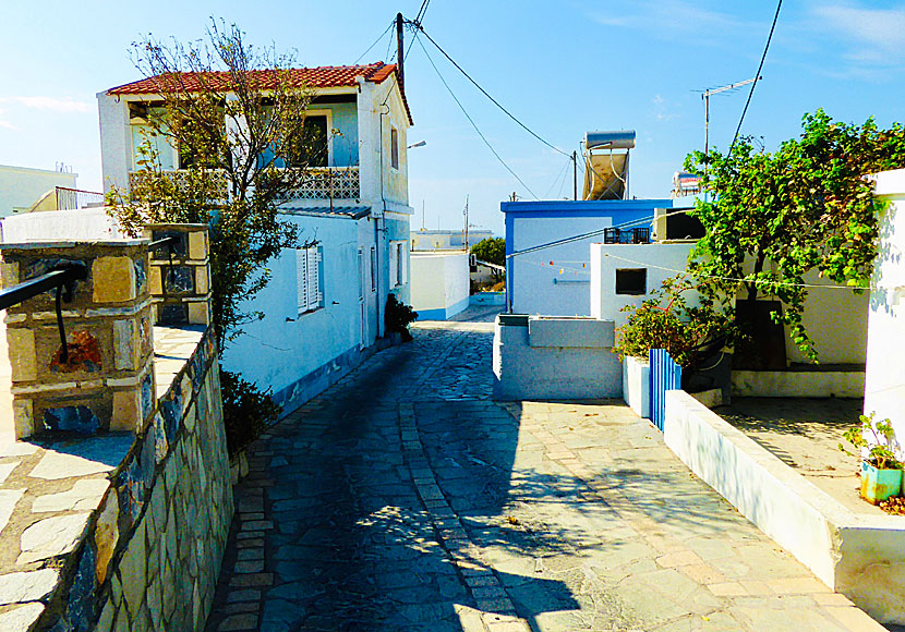 In Megalo Chorio there is a post office, ATM, mini market, school and taverna.