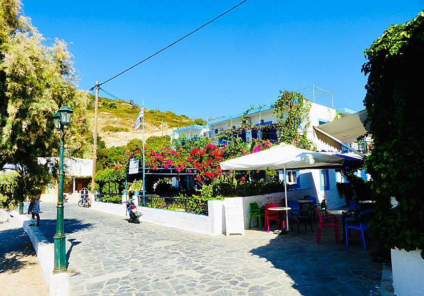 Pension Maria in the port of Agathonissi.