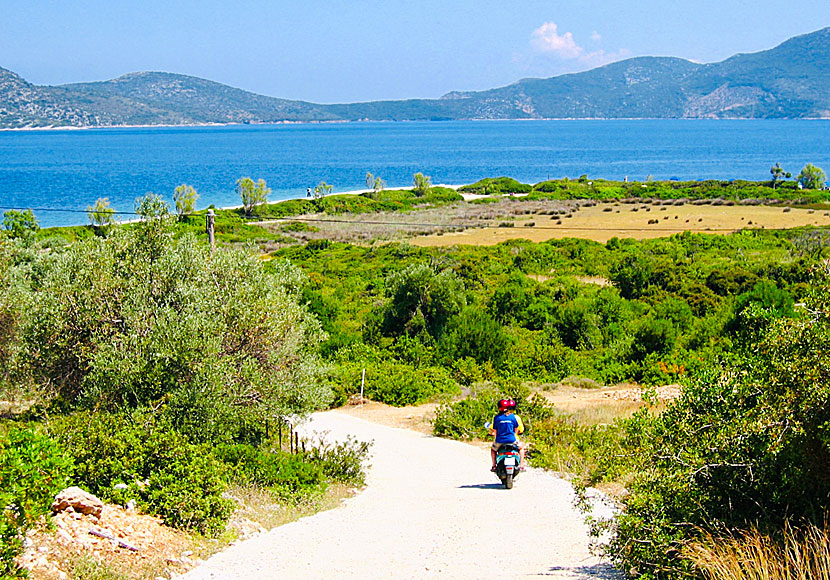 The road down to the beach of Agios Dimitrios on Alonissos and the island of Peristera in the marine national park.