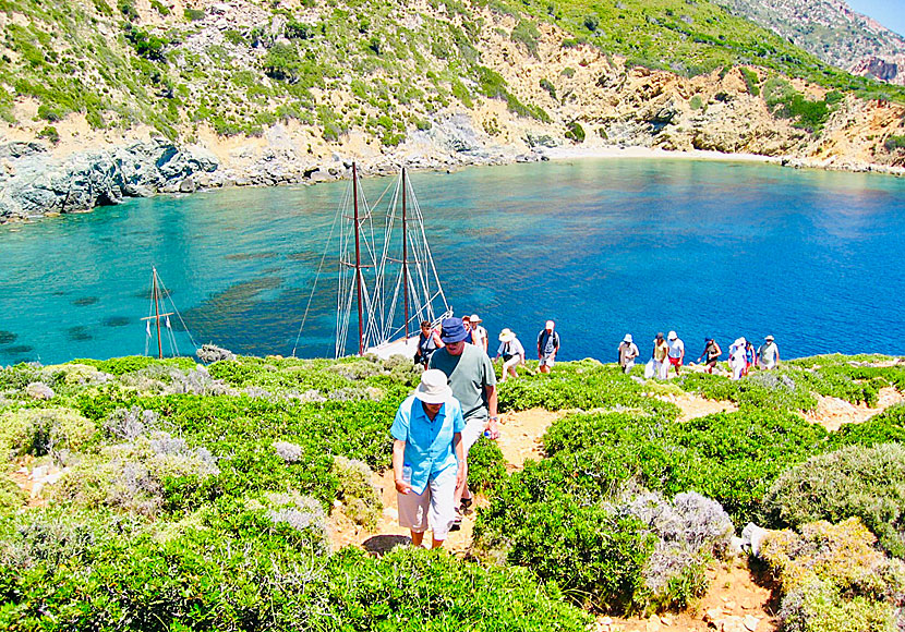 The Marine National Park at Alonissos.