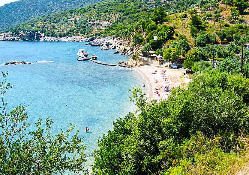 Megalos Mourtias beach on Alonissos.