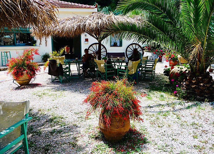 Restaurant Eleonas in Leftos Gialos on Alonissos.