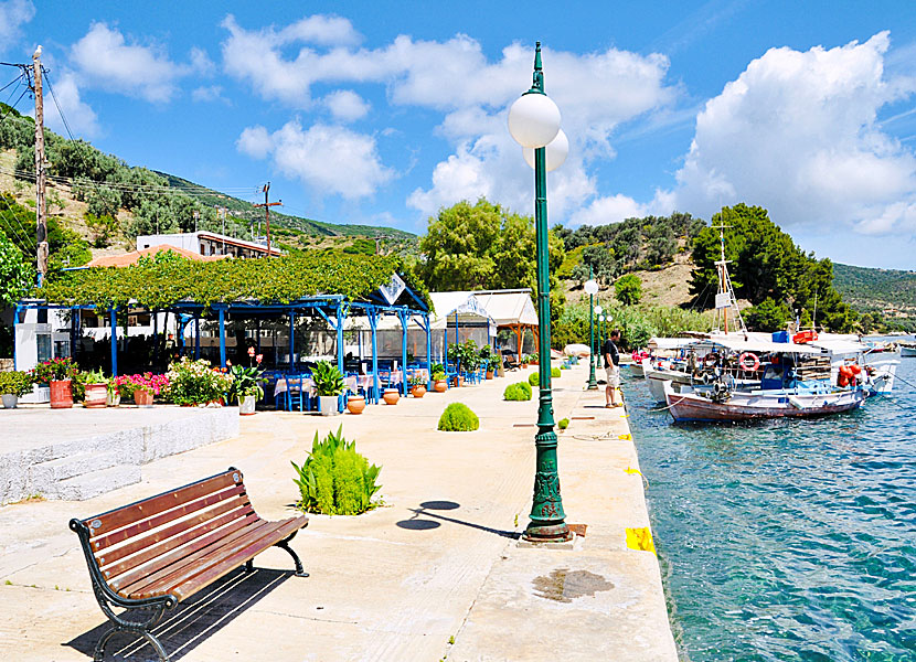 Along the port promenade in Kalamakia are several good restaurants.