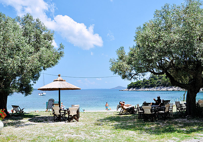 Shady trees and sunbeds on Leftos Gialos beach near Patitiri.