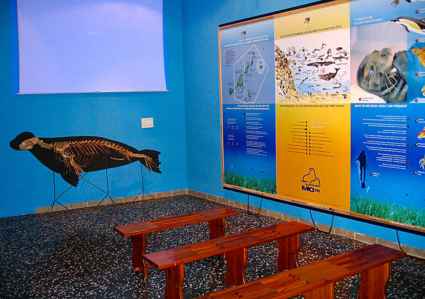 The Monk seal center in Patitiri.