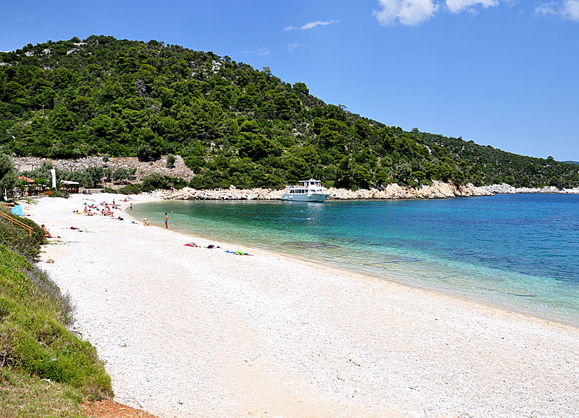 The 16 best beaches in Alonissos.