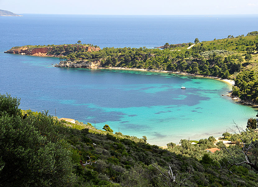 The best beaches on Alonissos. Tzortzi Gialos beach.