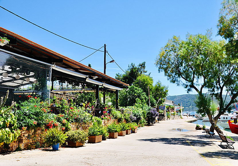 Good restaurants and taverns in Steni Vala on Alonissos in the Sporades.