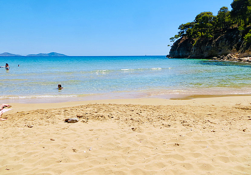 Chrisi Milia beach on Alonissos in the Sporades.