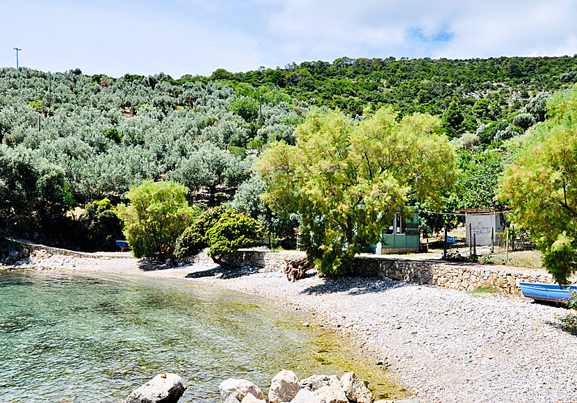 Steni Vala beach on Alonissos.