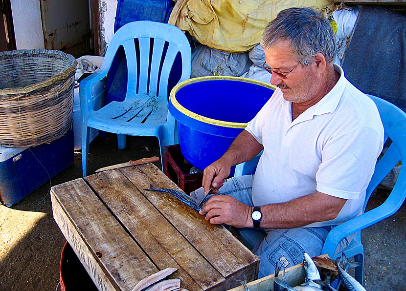 In Steni Vala you can eat fresh fish and seafood in the restaurants.