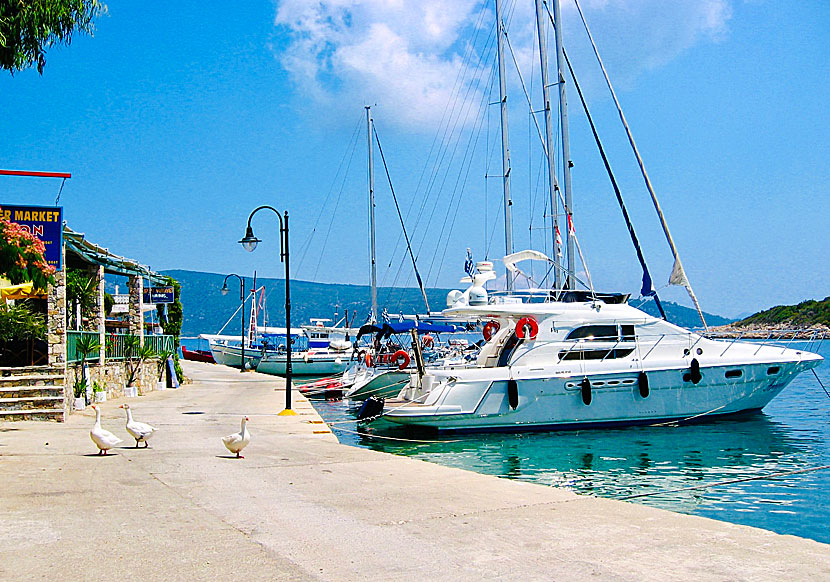 Supermarket, sailing boats and tame ducks in Steni Vala.