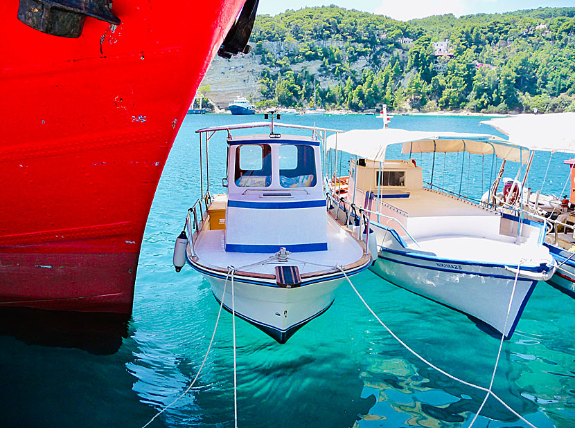 Floating fishing boats in the port of Alonissos.