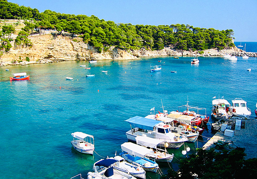 The port of Votsi on Alonissos.