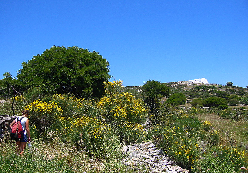 Hike from Langada to Agios Theologos in Amorgos.