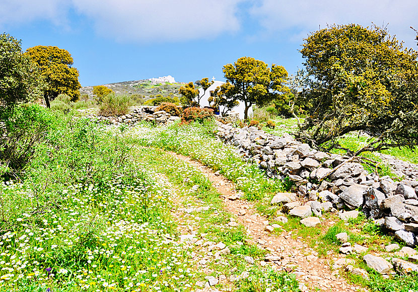 Hike from Langada to Agios Theologos in Amorgos.