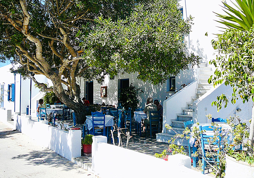 Taverna Marouso in Arkesini in Amorgos.