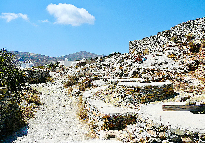 Asfodilitis. Amorgos.