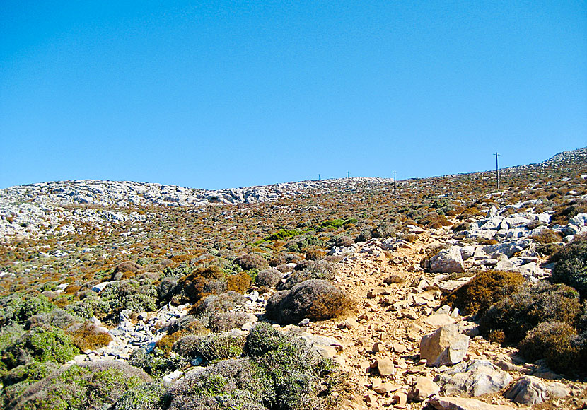 Profitis Ilias. Amorgos. Hiking.