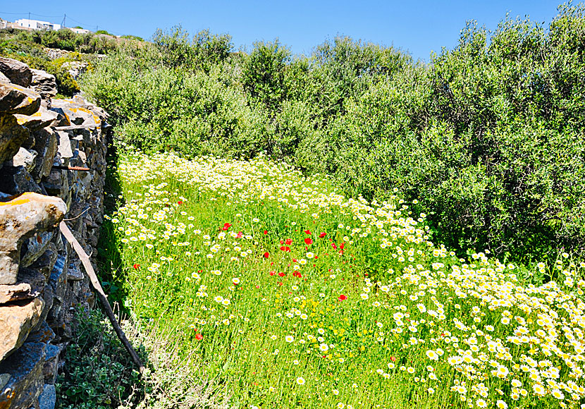 On a hike to Arkesini.