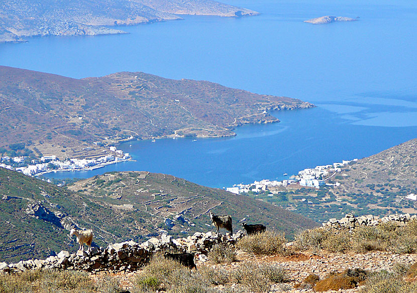 Katapola on Amorgos seen 500 meters above sea level.