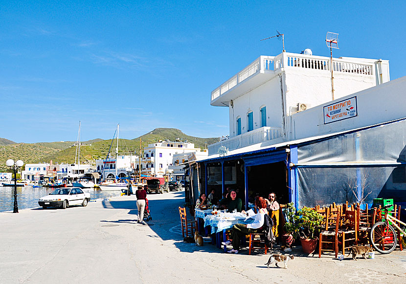 Taverna Mouragio in Katapola. Amorgos.