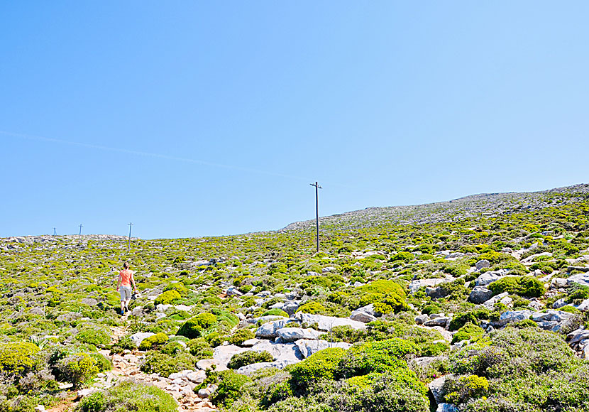 Hiking. Amorgos. Profitis Ilias.