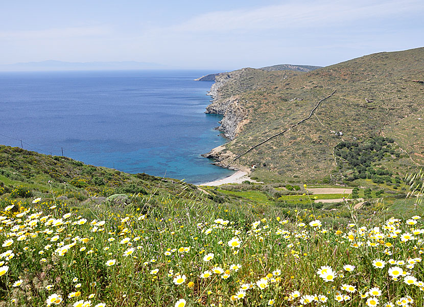 The best beaches in Amorgos. Lefkes beach. 