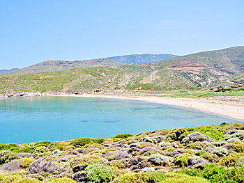 Ateni beach on Andros.