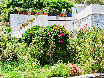 The village of Arni on Andros.