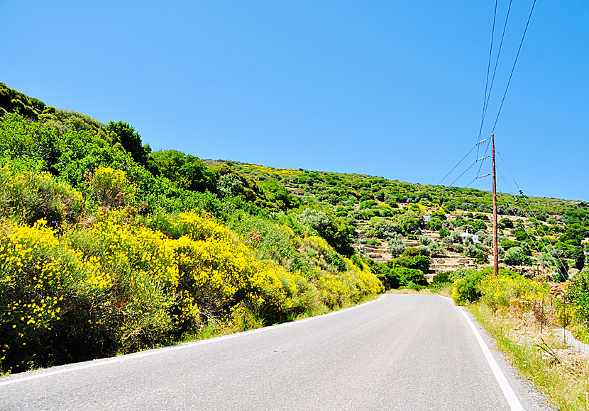 The beautiful road to the village of Stenies on Andros.
