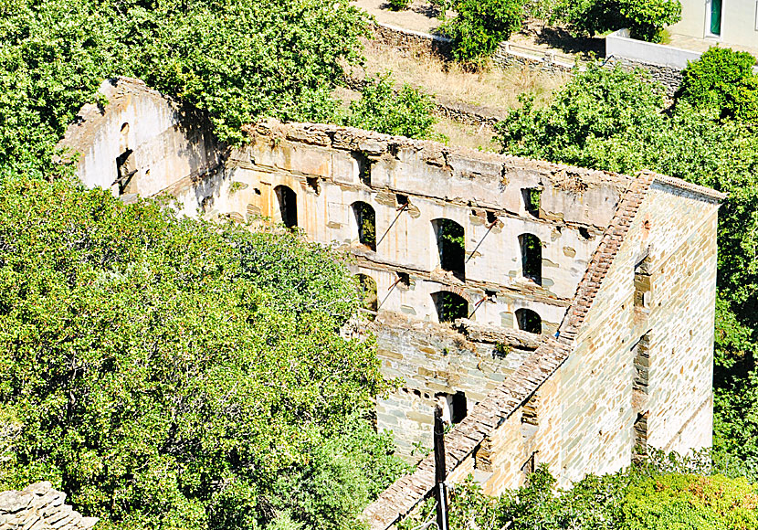 Fabrika on Andros has long been abandoned and nature has taken over the building.