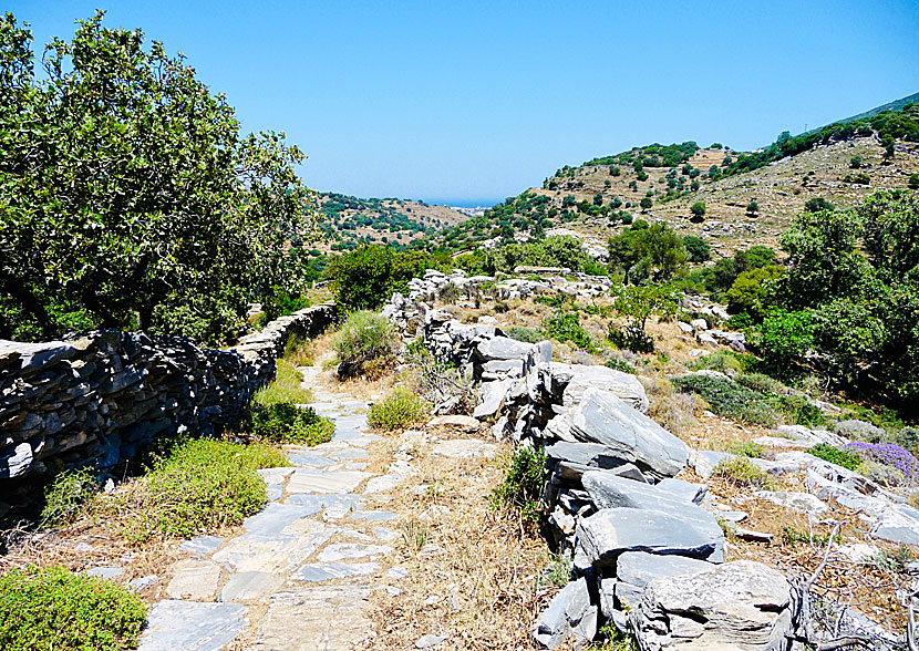 Hike to Foros Cave near the village of Aladinou on Andros.
