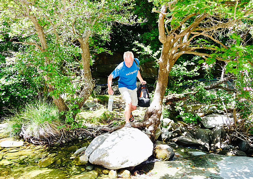 Hike to Pithara Waterfalls on Andros.