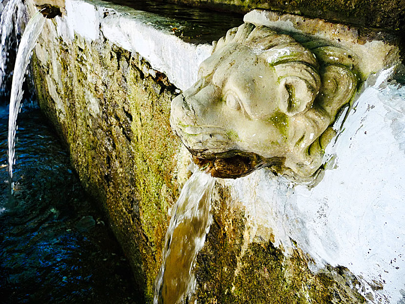 Lion head in the Lion Fountain in the village of Menites on Andros in Greece.