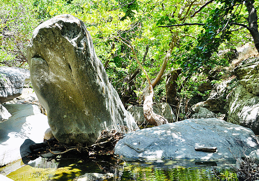 The hike to Pithara Waterfalls goes through a fabulously beautiful and magical landscape.