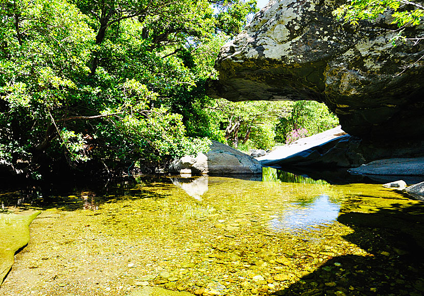 The rippling waters of Pithara Waterfalls and the singing of birds are a magical experience.