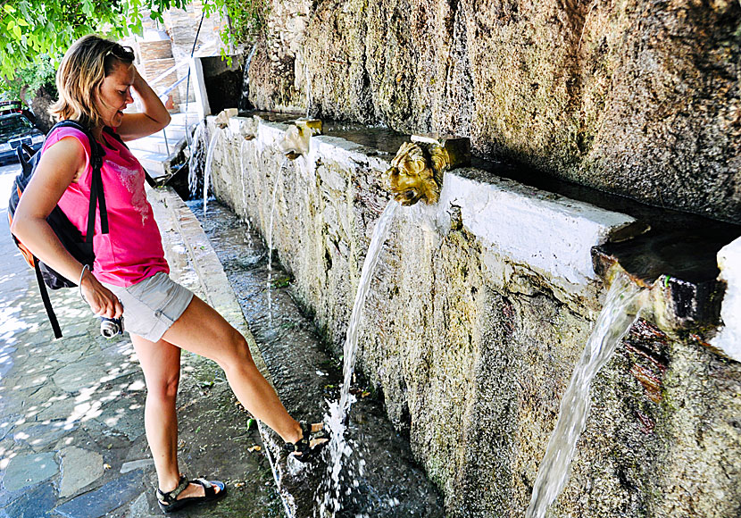 The fountain of Menites consists of six marble lion heads through which water ripples.