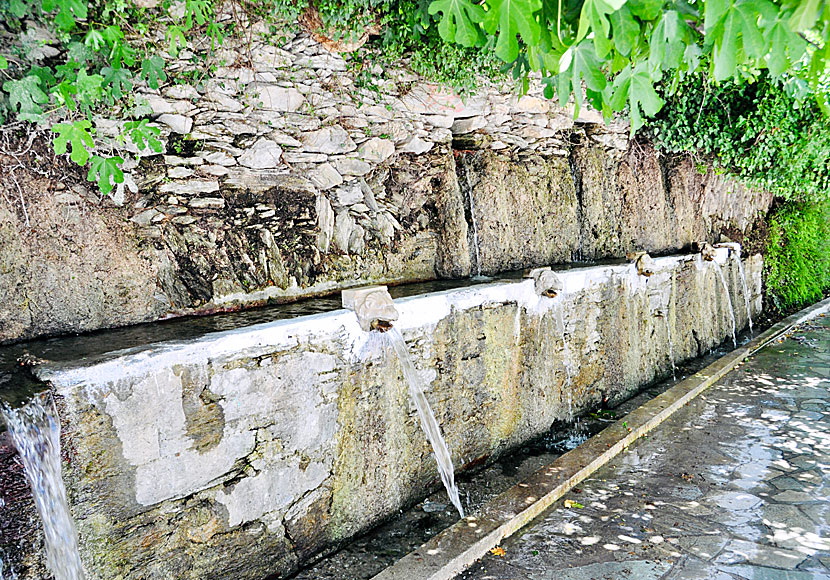 Springs of Menites, or Springs of Dionysos, in Menites on Andros in the Cyclades.