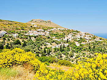 The village of Stenies on Andros.