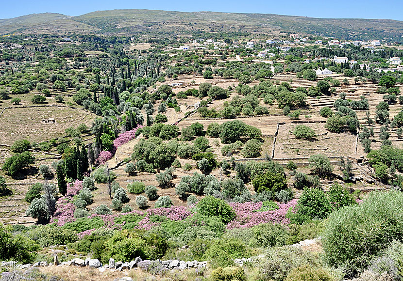 Aladinou seen from the path to Foros Cave.