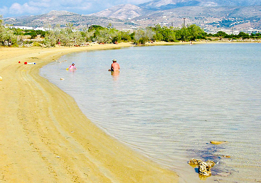 Agios Spiridonas beach, or Baby beach on Antiparos is one of the most child-friendly sandy beaches in the Cyclades.