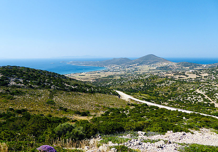 Hikes on Antiparos in Greece.