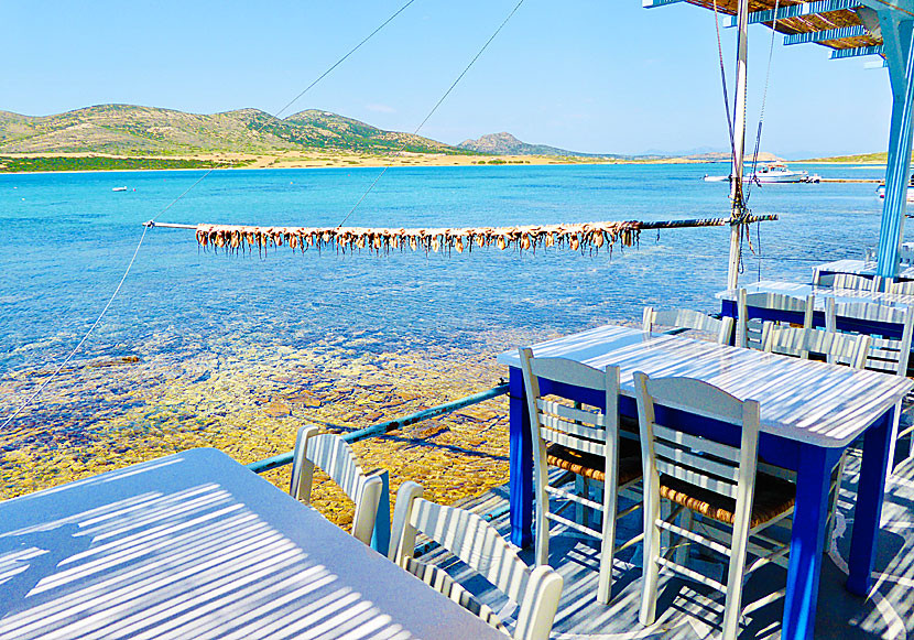 Taverna Captain Pipinos in Agios Georgios on Antiparos.